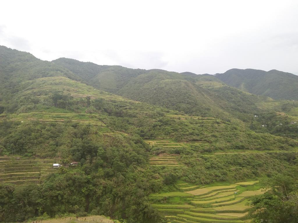 Banaue Sunrise Guest House Extérieur photo